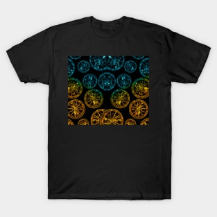 Orange slices T-Shirt